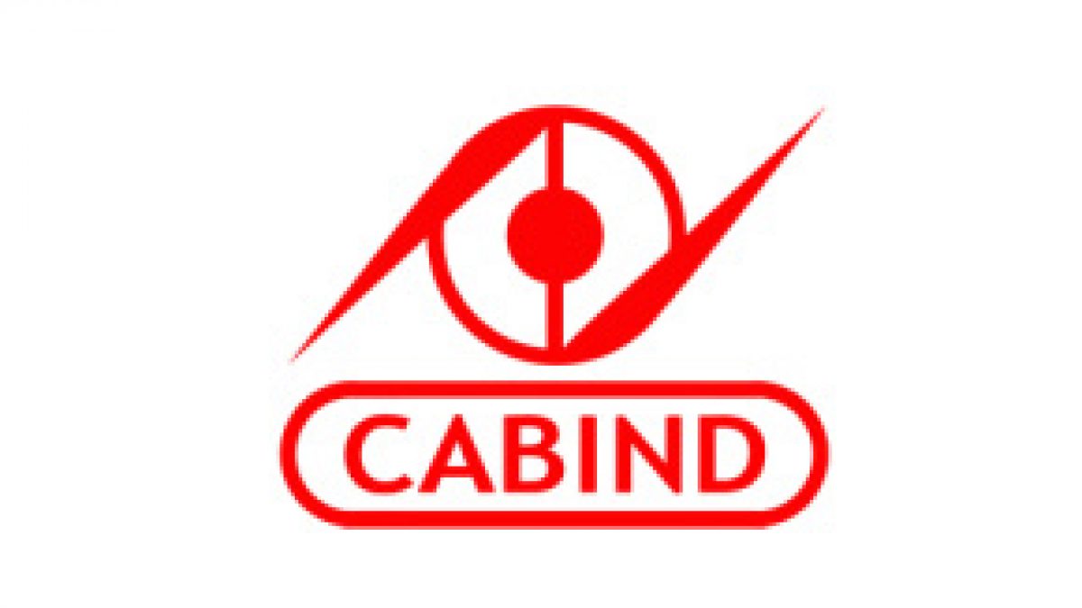 PT Cabinindo Putra