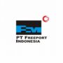PT Freeport Indonesia